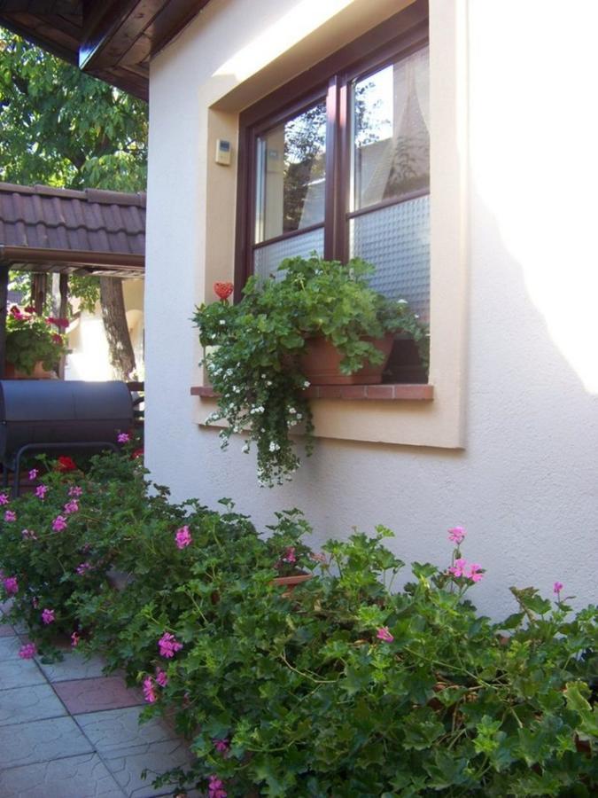 Pensiunea Restaurant Casa Alba Ghimbav Exterior foto